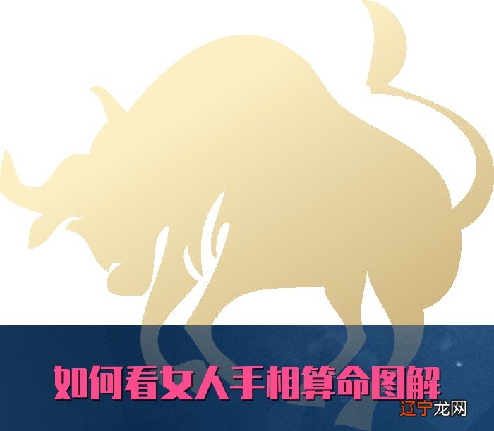 女人手相算命图解到手相到运势富贵凶险！