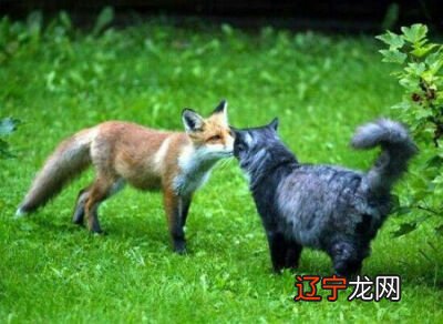 周易既济卦_周易断卦技巧_既济卦卦爻辞是什么