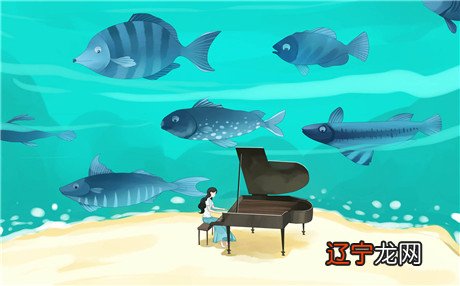 四象星座包含哪些星座,是怎样的你有了解过吗