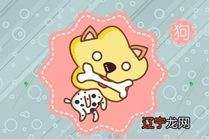 2022年不同年份出生的生肖属狗人的运势什么样