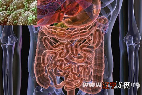 梦见拉肚子是什么意思?专家告诉你怎么做!