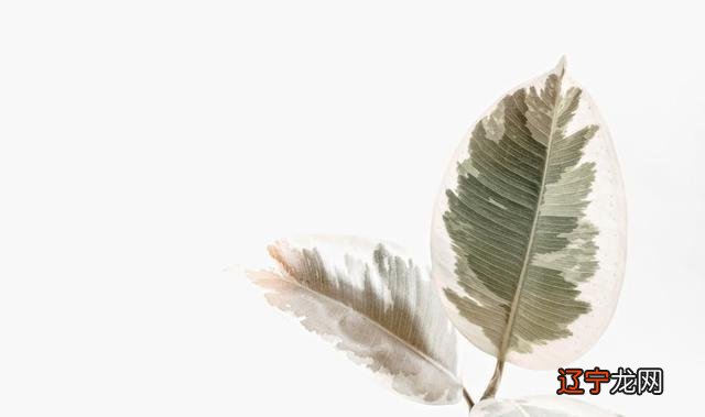 说起记仇的事情,我们可以把风象星座排除在外!