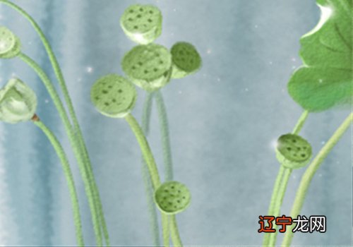 十二星座的黄道十二宫的12个分段,你知道吗?