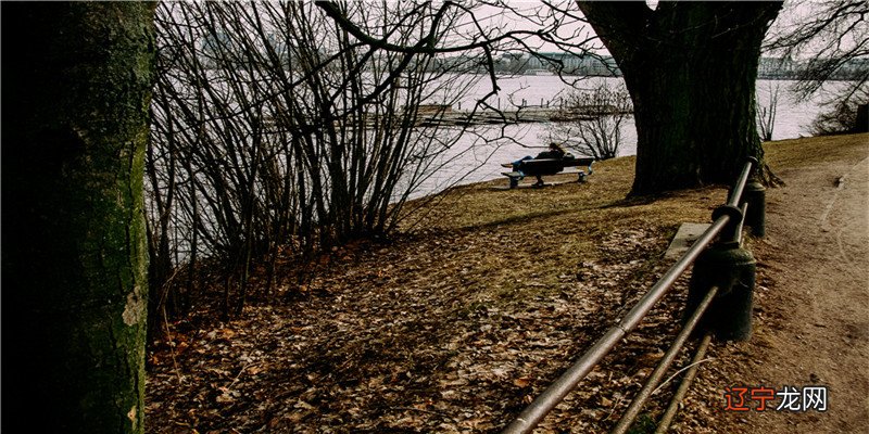 十二星座中属于这种类型的三大星座,看看都有谁吧