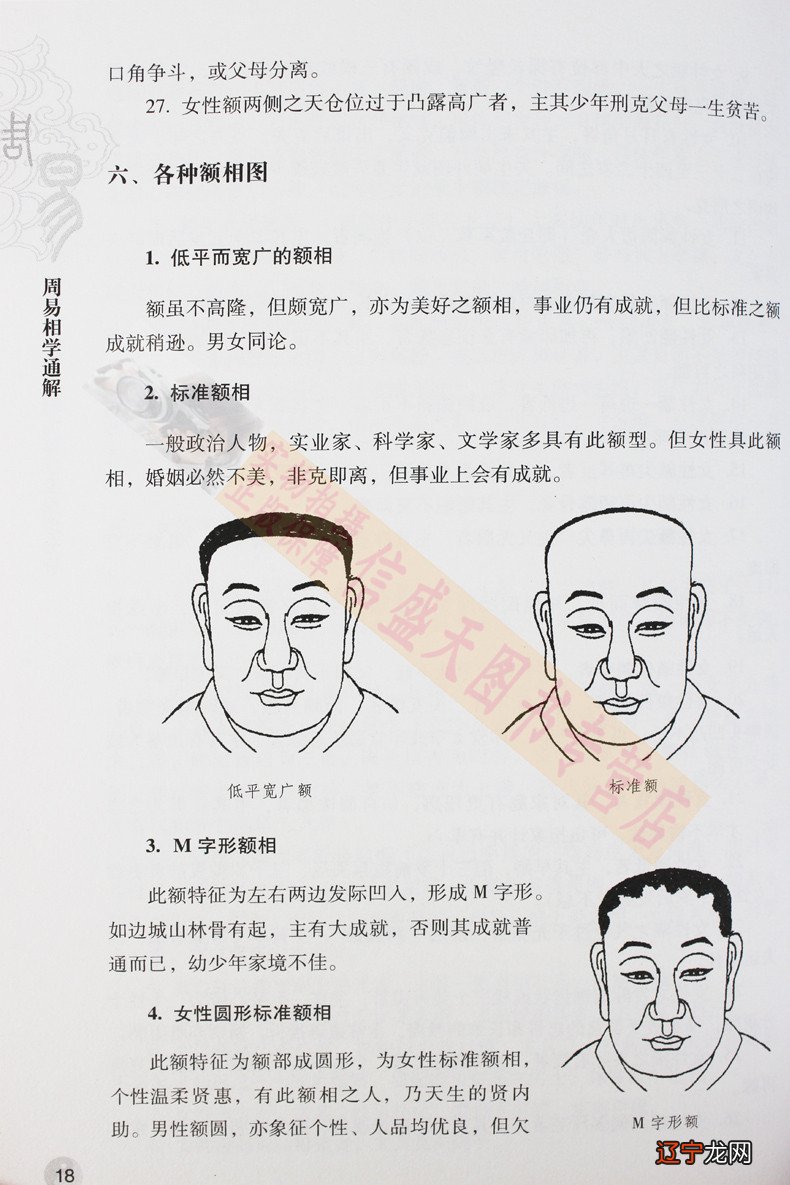 相学入门经典著作_周易相学入门_手相学入门视频