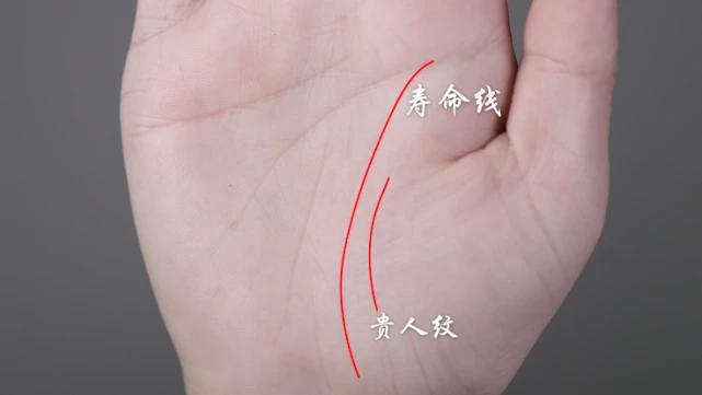 手相中有着众多不同的纹路,每一条纹路都会暗示着