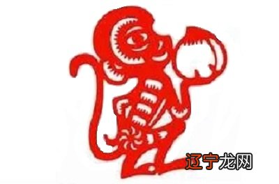 1944年属猴人在2019年运势好不好的生肖猴