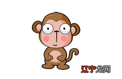 1944年属猴人在2019年运势好不好的生肖猴