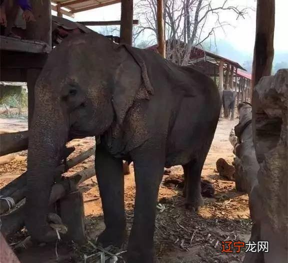 周易困之坎 【知识点】历史上的今天，你知道吗？