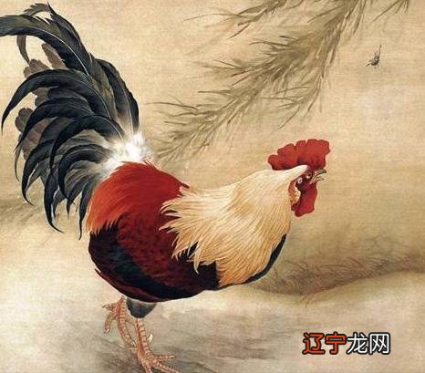 生肖五行属金八字五行属土,哪个对的_1945年鸡五行属什么_生肖属鸡的小孩五行属什么