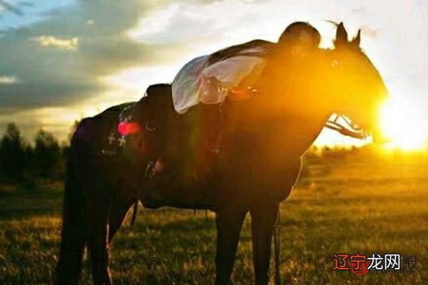 生肖马:求财辛苦但得财多生肖马人财运不错