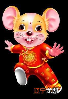 ,属鼠的本命年应该注意什么本命年要注意的事情