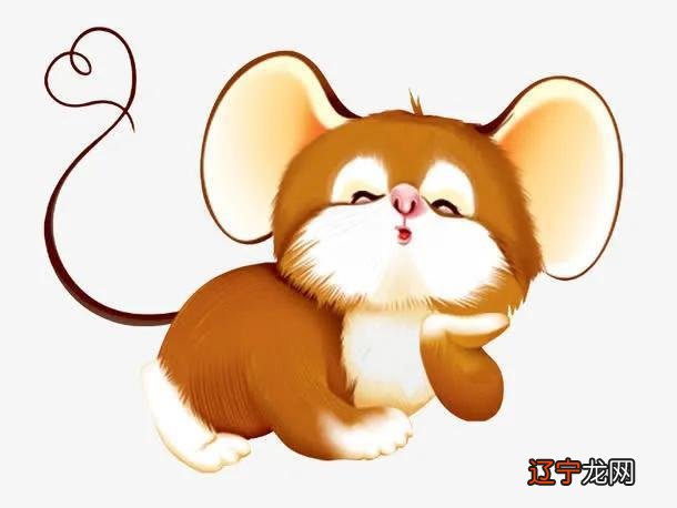 ,属鼠的本命年应该注意什么本命年要注意的事情