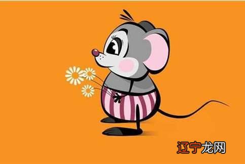 ,属鼠的本命年应该注意什么本命年要注意的事情