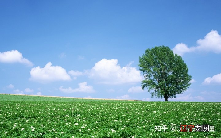 沈亮218尾数的人容易得癌症？的数字风水