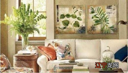 慈世堂：家中不能莳植摆放的植物，不只不能带来好命运运限