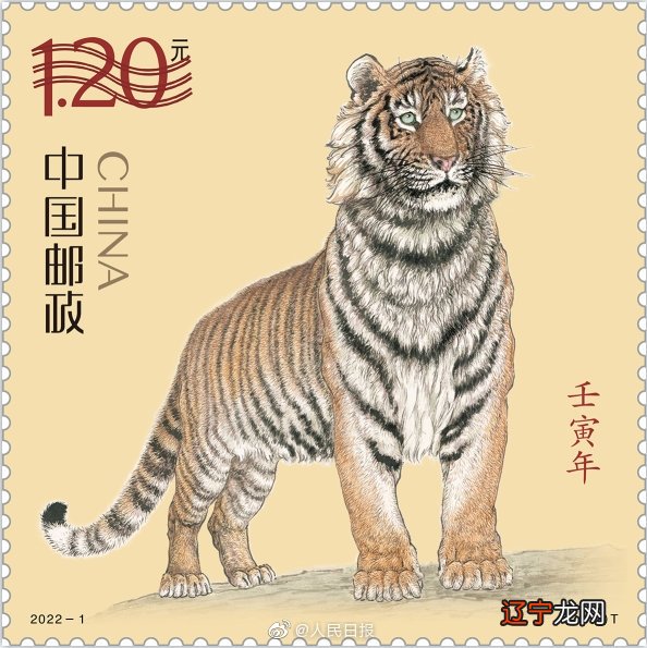 2022虎年男婴取名合适的字眼给虎年取名需要注意的地方