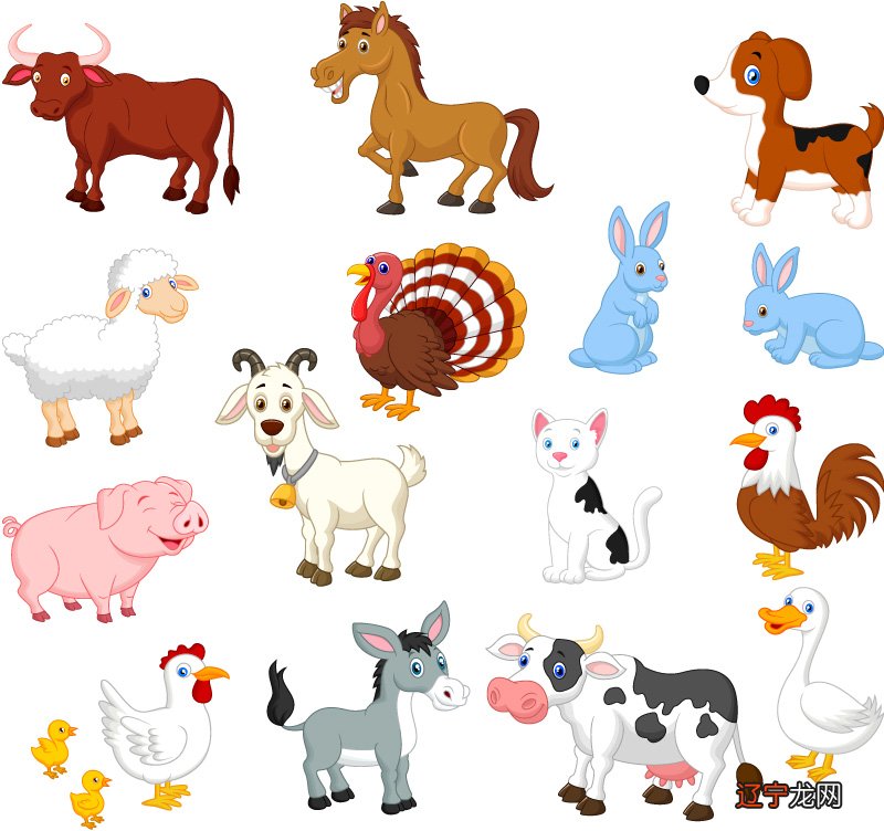 鸡相冲生肖是什么？鸡的和什么生肖相冲与鸡相克