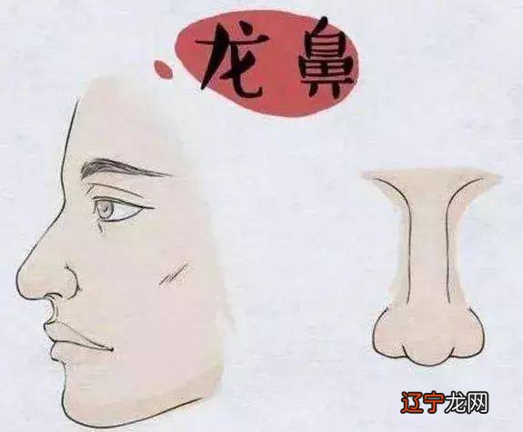 相学大全图解 五官_相学大全图解 五官耳朵_眼睛相学大全图解