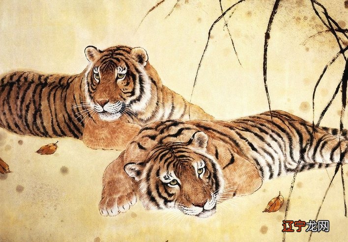 生肖虎今年运气如何2023