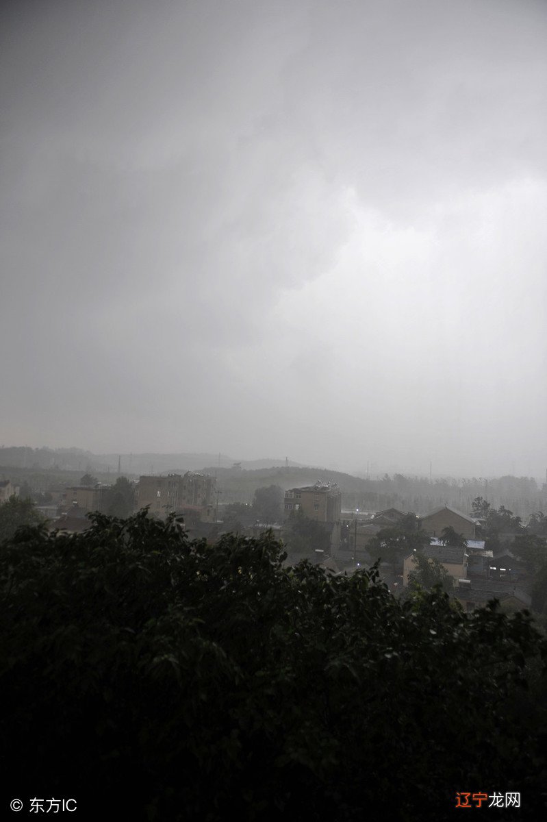 风水大师 雨打棺材头 辈辈出王候