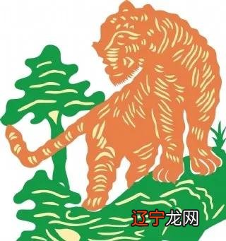 图 从正月初一开始的孩子就属虎了呢?