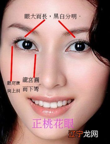 三角鼻孔的男人面相_面相三停看一生运势_看面相三角眼男人运势