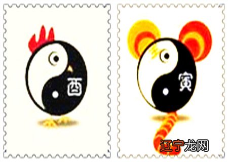 属鸡人与属虎人合不合的人,会导致两人感情幻灭