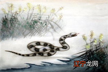 组图 一生中有数不尽的三大生肖,适合在一起吗?