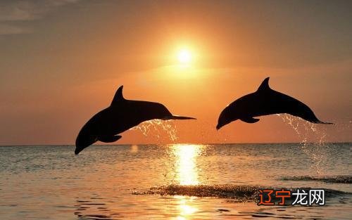 请铭海风水堂:八字当中关于婚姻的看法