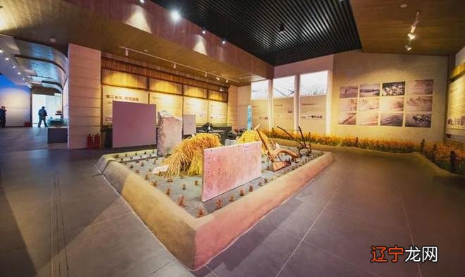 盘锦城镇化街道:“向海发展”助推乡村振兴战略