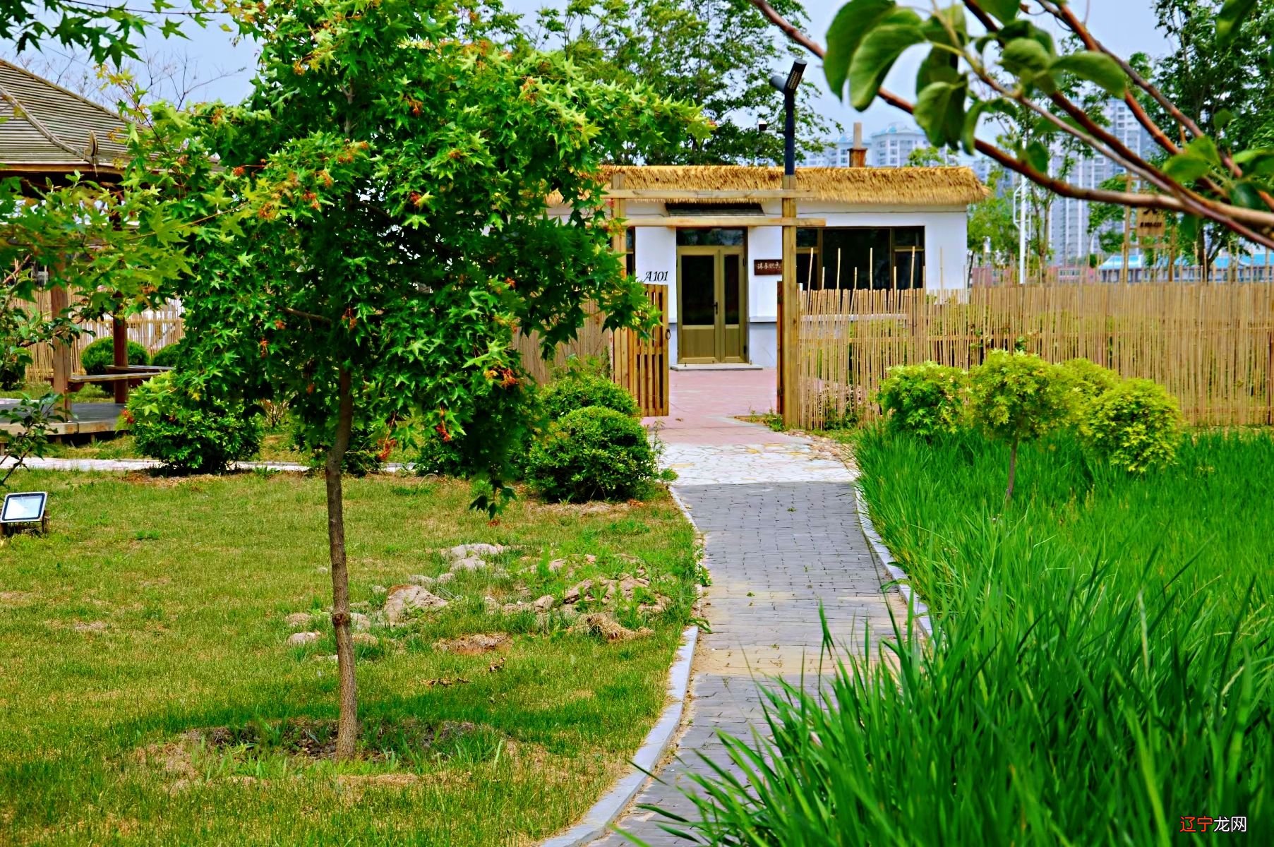 盘锦民俗文化_天津民俗小吃展示文化_文化民俗城镇