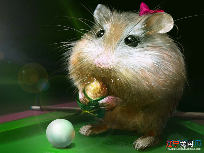 天秤座2019年运势详解属鼠秤座年运程详解运势吉凶