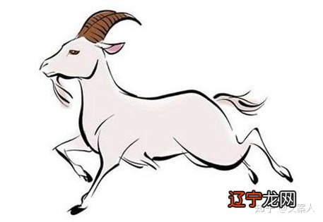 属羊2022年运势及运程详解，属羊人2022每月运势运程如何