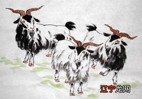 属羊2022年运势及运程详解,属羊人2022每月运势运程如何