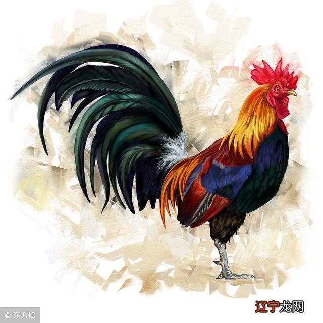 组图 81年属鸡人转年龄43岁:贵人相帮运势