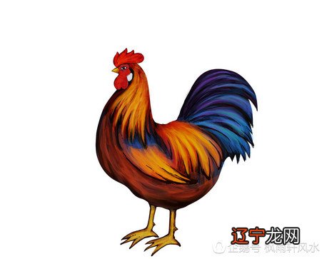 组图 81年属鸡人转年龄43岁:贵人相帮运势