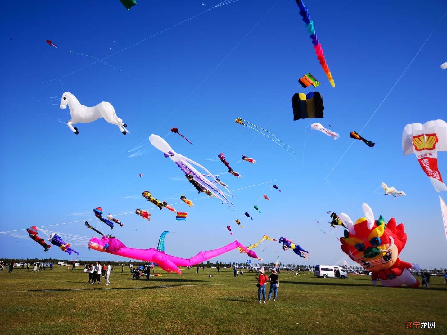 组图 中国最具投资潜力和发展活力的新兴经济强市