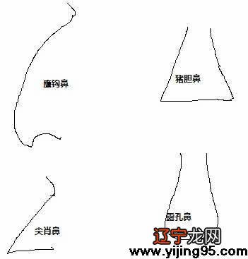 五官在面相上代表什么如何看面相中五官才能看出运势