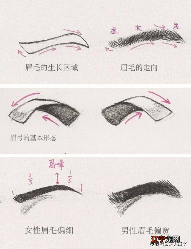 五官在面相上代表什么如何看面相中五官才能看出运势