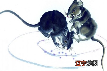 属相年份五行表示怎样呢？属相与五行对应有什么关系？