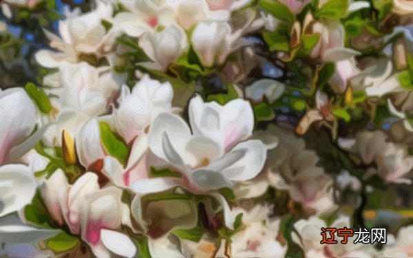 一 古人如何辨别方位常用“风水秘籍”?