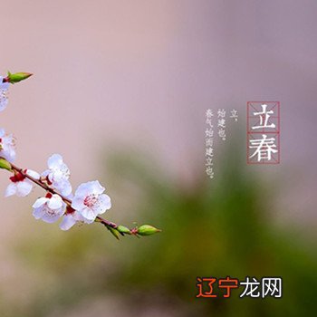 本命年命理_命理看你有没有横财命_八字命理看命口诀真诀