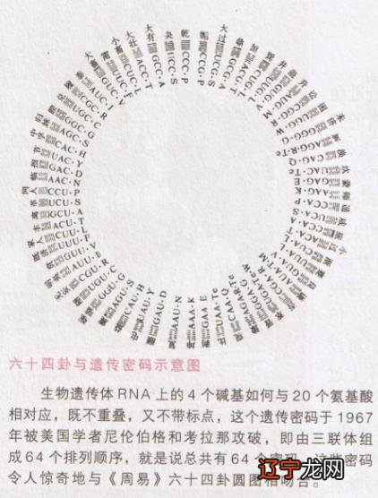 阴阳宅必分开的公式和规律性阳宅是住的吗?