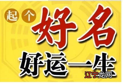 风水堂:生肖角度看属猪的生肖人