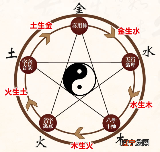 风水堂:生肖角度看属猪的生肖人