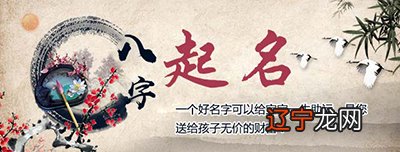 风水堂:生肖角度看属猪的生肖人