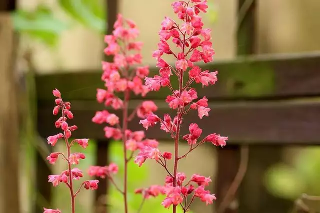 巨蟹座2022年个人运势查询的人