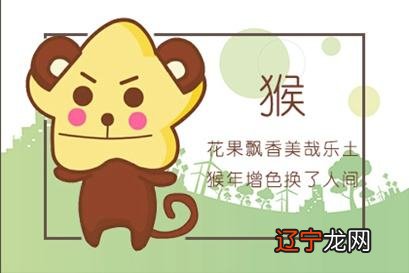 生肖猴配对姻缘,猴同猴婚姻是否配对?姻缘配对