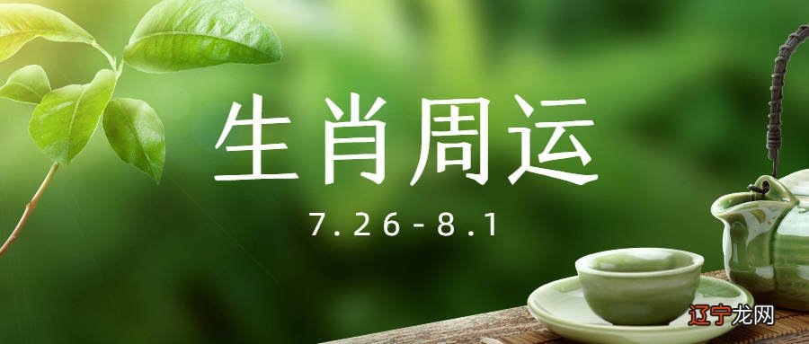 天蝎明年运势_怎么用易经看明年运势_属龙的明年运势